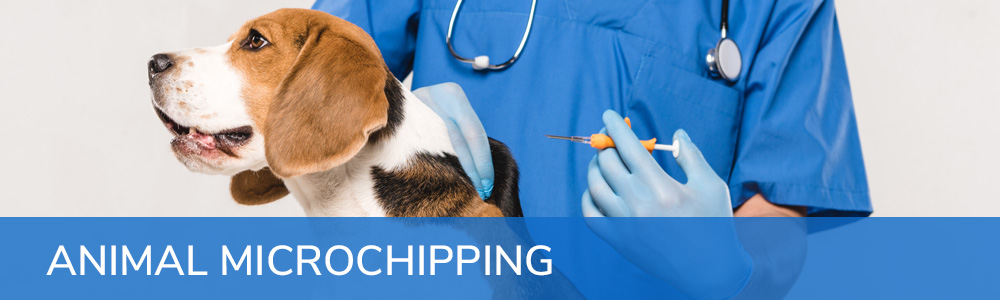 Animal Microchipping