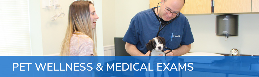 Pet Wellness & Medical Exams